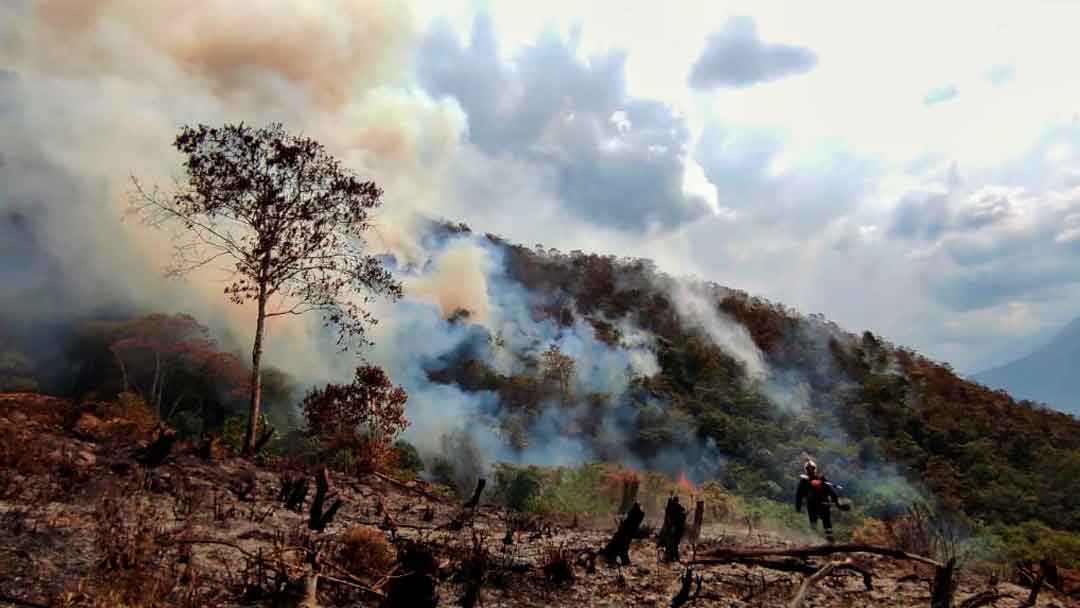 Incendio forestal en el Parque Nacional de Cotapata