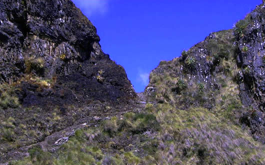 Camino Khasiri en el escenario espectacular de las serranías de Yungas