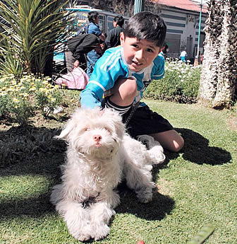 El perro es una compañía y es parte de la familia