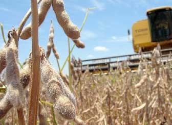 Agroindustria de Santa Cruz requiere us 1.000 millones para 2013