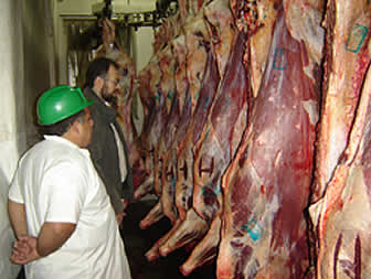 precio del kilo de carne de res subió hasta 4 bolivianos.