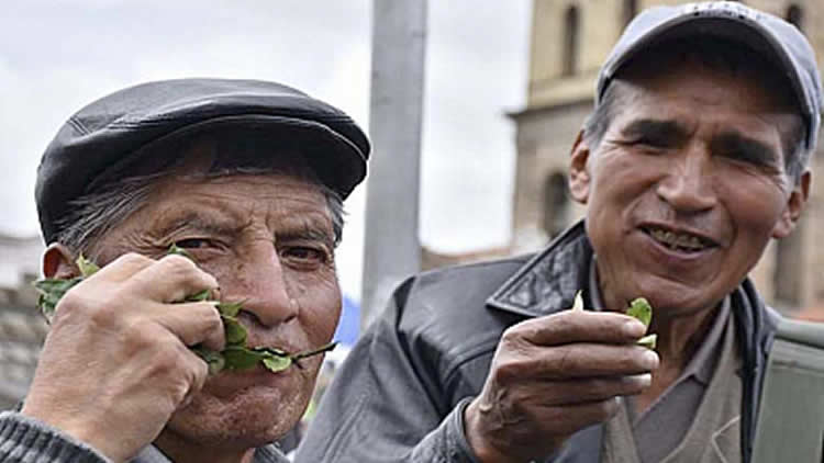 Día Nacional del Acullico en Bolivia, 11 de enero