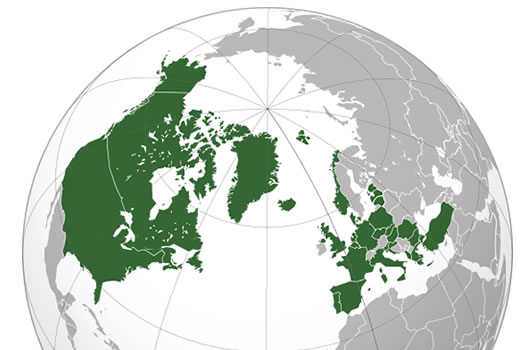 Organización del Tratado del Atlántico Norte (OTAN)