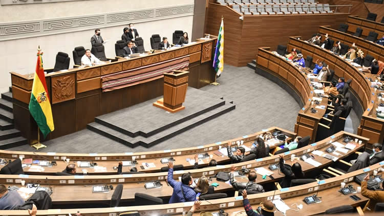 La Asamblea Legislativa Plurinacional de Bolivia.