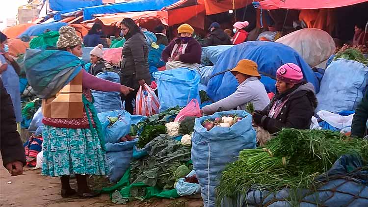 Productores agrícolas de las 20 provincias de El Alto.