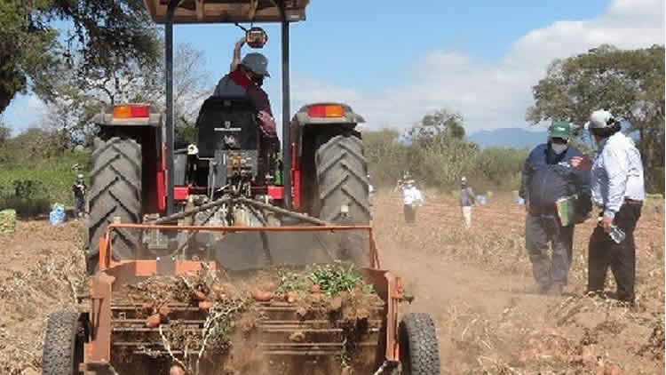 Reforma Agraria en Bolivia.