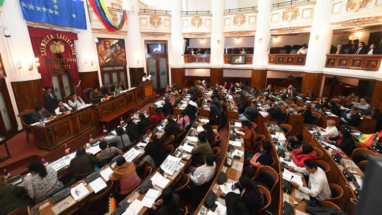 Asamblea Legislativa Plurinacional (ALP) en una sesión polémica.
