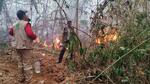 ABT pide endurecer sanciones contra quienes provoquen incendios forestales 