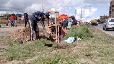 El Alto celebrará el Día del Árbol con feria de plantas 