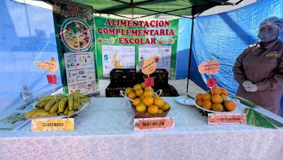 Yogurt con chía y galleta waffer será la ración para el retorno a clases 