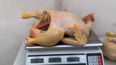 Escasea la carne de pollo en mercados de La Paz